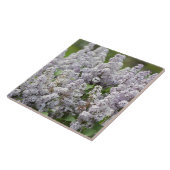 薄紫 タイル (側面)