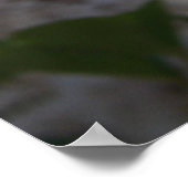 薄紫 ポスター (角)