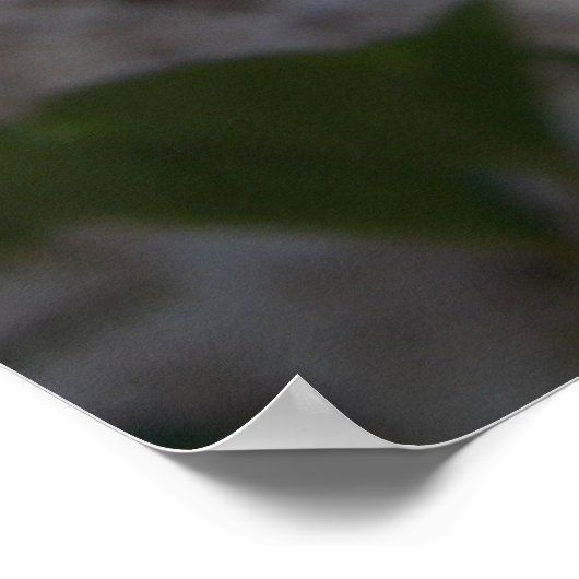 薄紫 ポスター (角)