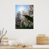 薄紫 ポスター (キッチン)