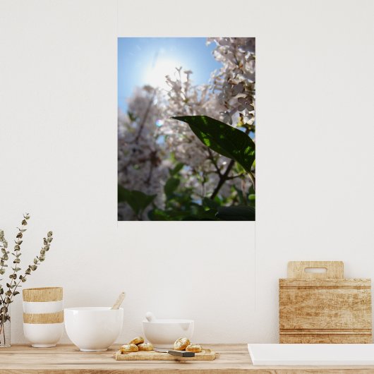 薄紫 ポスター (キッチン)