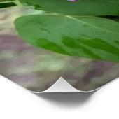 薄紫 ポスター (コーナー)