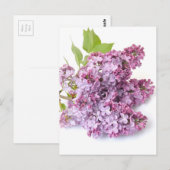 薄紫 ポストカード (正面/裏面)