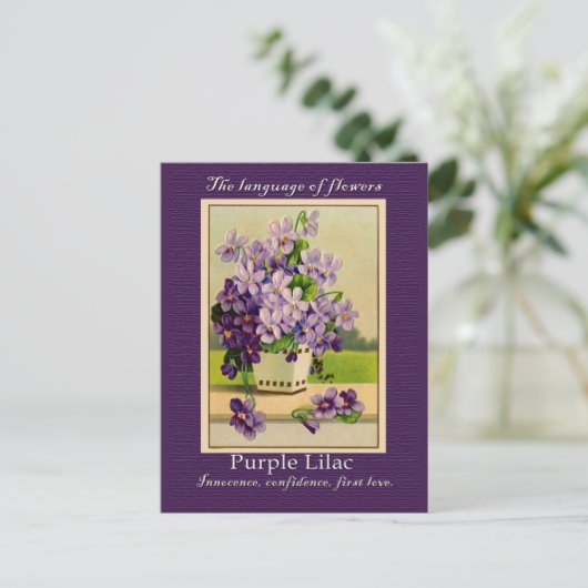 薄紫 ポストカード (スタンド正面)