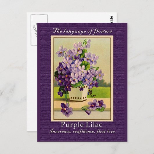 薄紫 ポストカード (正面/裏面)