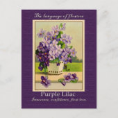 薄紫 ポストカード (正面)