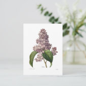 薄紫 ポストカード (スタンド正面)