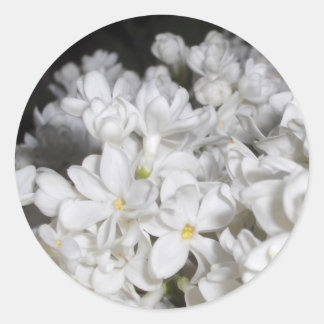 薄紫 ラウンドシール