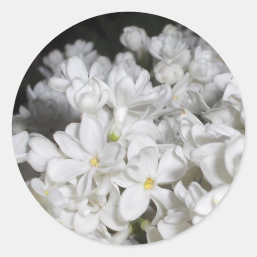 薄紫 ラウンドシール (正面)