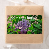 薄紫 ラベル (インサイチュ)