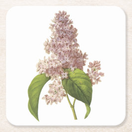 薄紫(Syringa sp.)by Redoute スクエアペーパーコースター