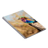 薄紫Breastedのローラーのカラフルなアフリカの鳥 ノートブック (右側)
