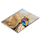 薄紫Breastedのローラーのカラフルなアフリカの鳥 ノートブック (左側)