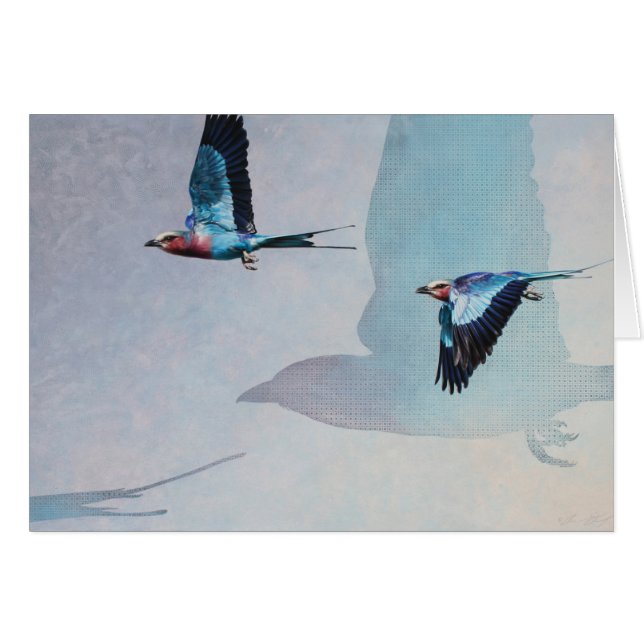 薄紫Breastedのローラーの空白のなカード、Denman (正面横)