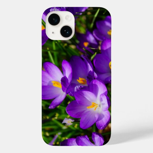 薄紫Crocuses iPhoneケース Case-Mate iPhoneケース (裏面)