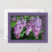 薄紫TIMEはがき ポストカード (正面/裏面)