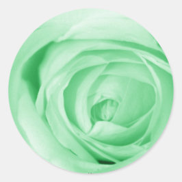 薄緑 ラウンドシール