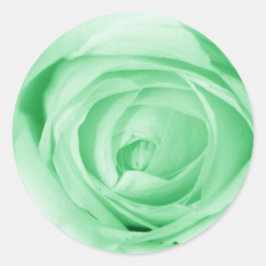 薄緑 ラウンドシール