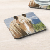 薄茶の馬 コースター (左側)