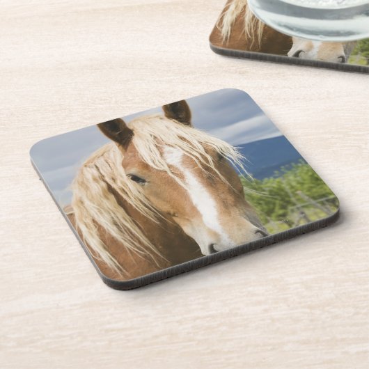 薄茶の馬 コースター (左側)