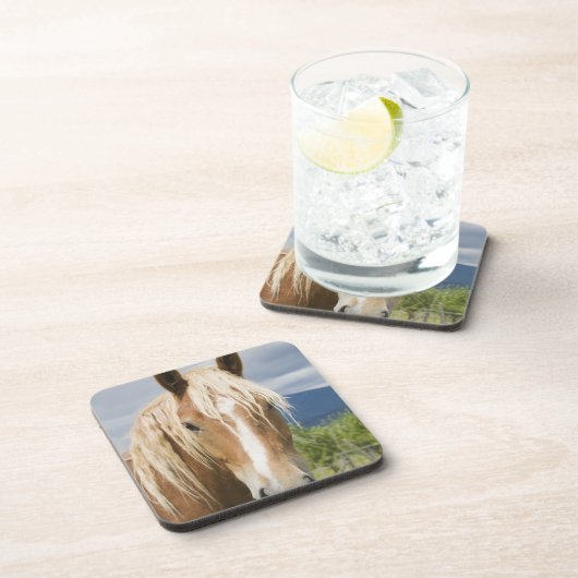 薄茶の馬 コースター (右側)