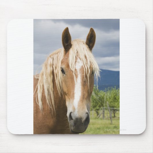 薄茶色の馬 マウスパッド (正面)