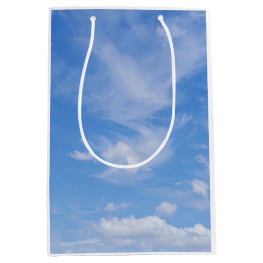 薄雲の青空 ミディアムペーパーバッグ (正面)