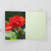 薔薇の美しさ カード (内部)