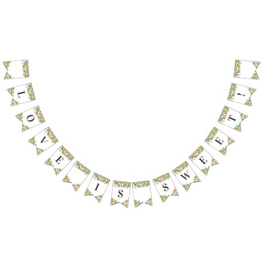 薩摩木炭メインスクイズシトラスブライダルシャワー バンティングフラッグ (全)