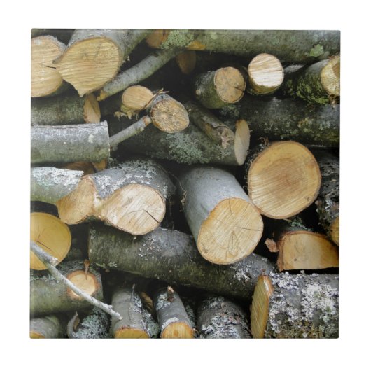 薪を積み上げた山 タイル (正面)