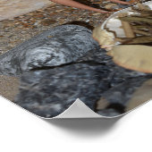 薪を集めて火を待つ。 ポスター (角)