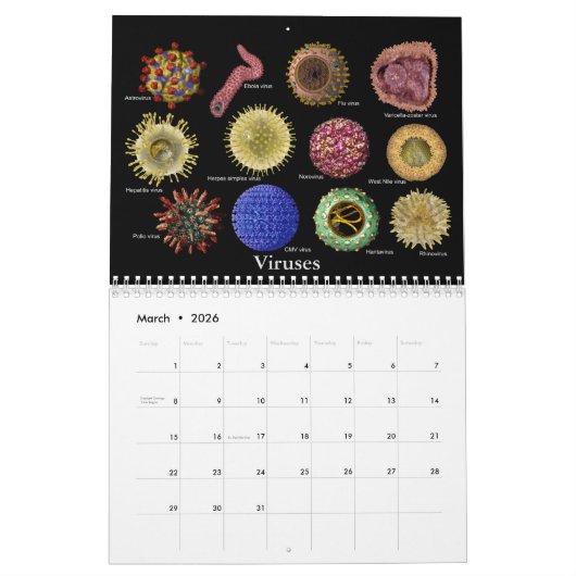 薬の芸術 カレンダー (3月 2026)