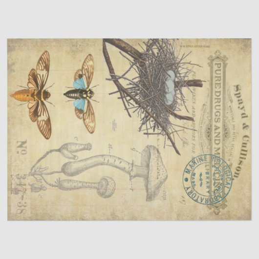 薬剤師のDecoupageのティッシュ 薄葉紙 (正面)