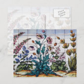 薬局の茶色の花，トリアナ，セビリア，スペイン ポストカード (正面/裏面)