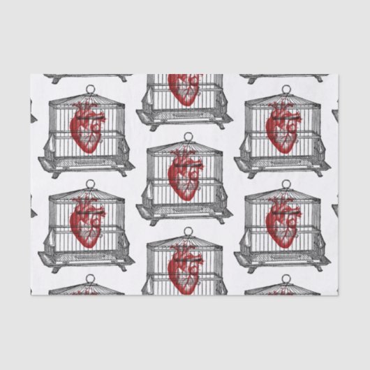 薬局 薄葉紙 (正面)