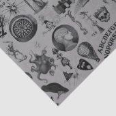 薬局 薄葉紙 (詳細)