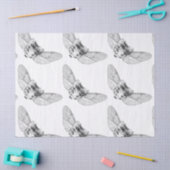 薬屋 薄葉紙 (クラフト)