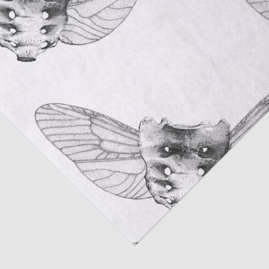 薬屋 薄葉紙 (詳細)