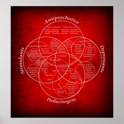 薬物人間関係ベン図 ポスター (正面)