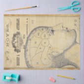 薬用家具デコページ紙 薄葉紙 (クラフト)