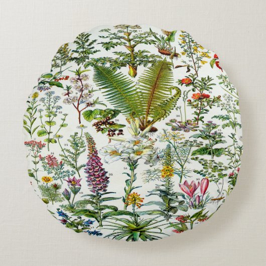 薬用植物 アクセント ピロー (正面)