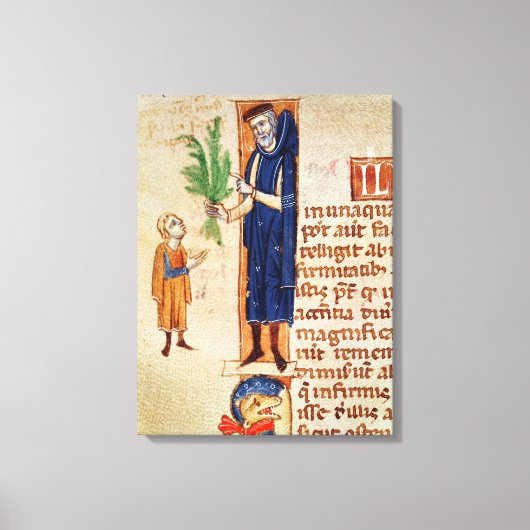 薬用植物 キャンバスプリント (正面)