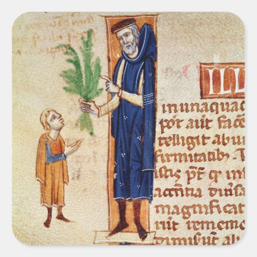 薬用植物 スクエアシール (正面)