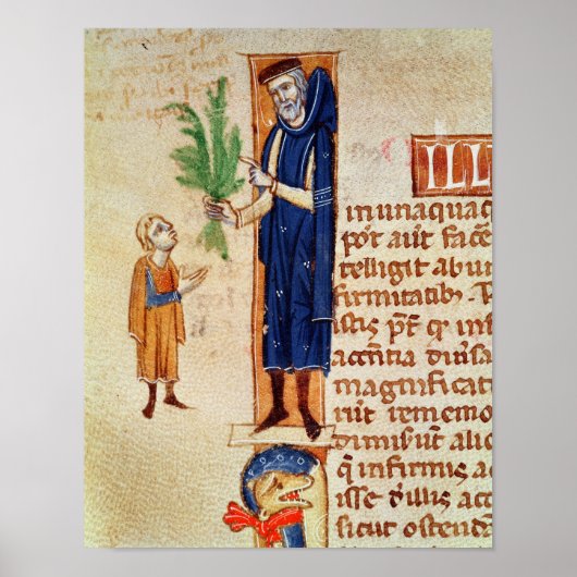 薬用植物 ポスター (正面)