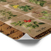 薬草の植物図1 24" x 20" ポスター (角)