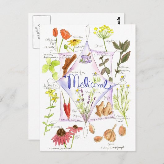 薬草エキナセアニンニクポピー ポストカード (正面/裏面)