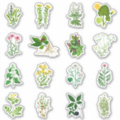 薬草セットシール シール (正面)