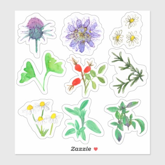 薬草ローズマリーシャモミールジンコ シール (シート)