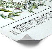 薬草2 ポスター (角)