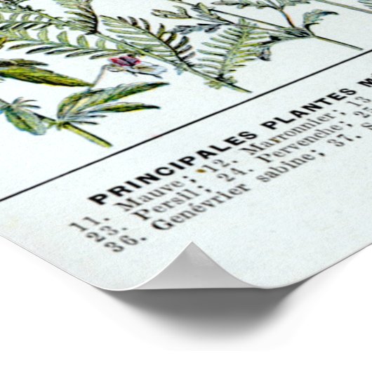 薬草2 ポスター (角)